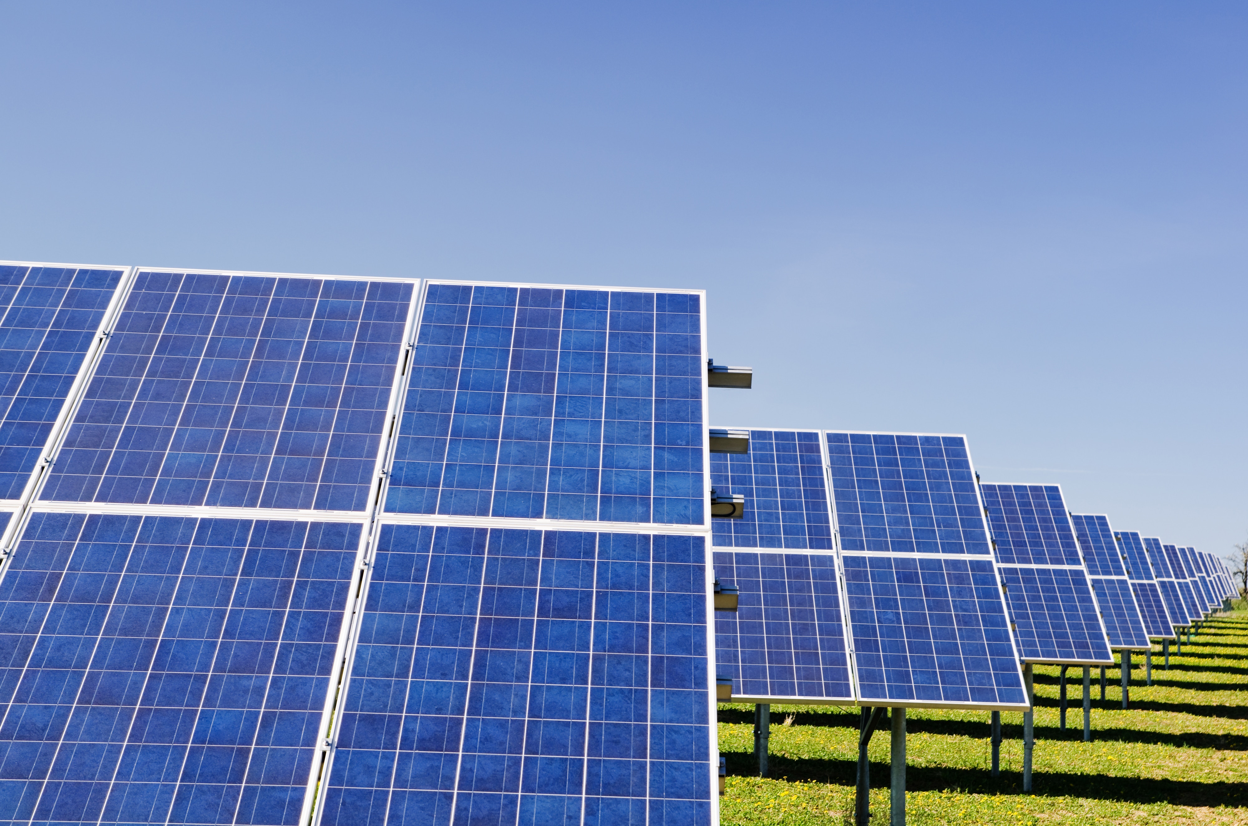 Eco Solutions Case Study